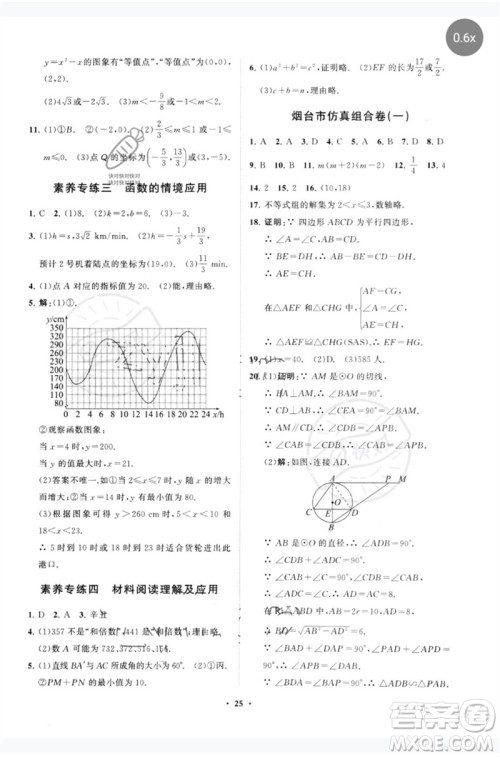 山东教育出版社2023初中总复习手册分层专题卷九年级数学五四制通用版烟台专版参考答案