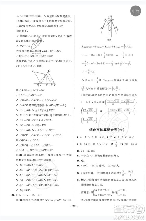 山东教育出版社2023初中总复习手册分层专题卷九年级数学五四制通用版烟台专版参考答案