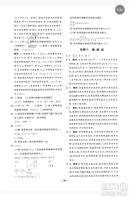 山东教育出版社2023初中总复习手册分层专题卷九年级化学五四制通用版烟台专版参考答案
