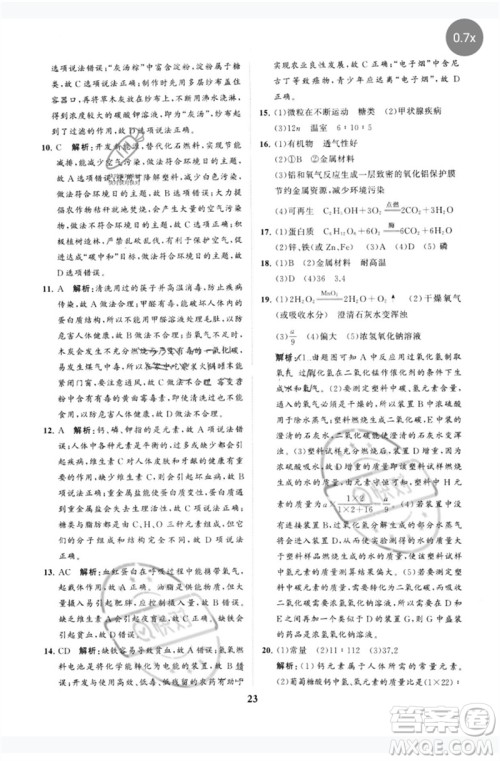 山东教育出版社2023初中总复习手册分层专题卷九年级化学五四制通用版烟台专版参考答案