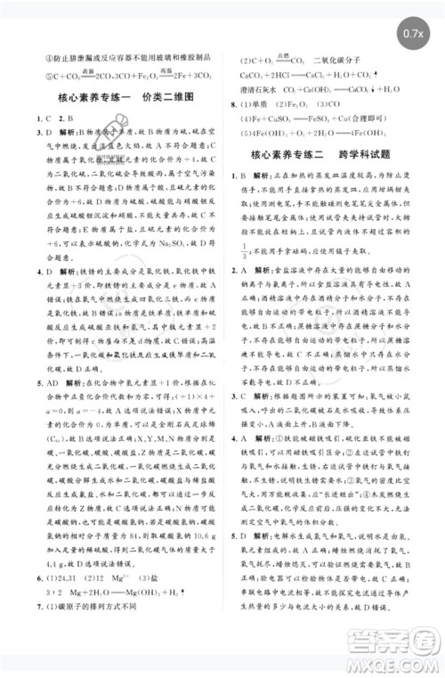 山东教育出版社2023初中总复习手册分层专题卷九年级化学五四制通用版烟台专版参考答案