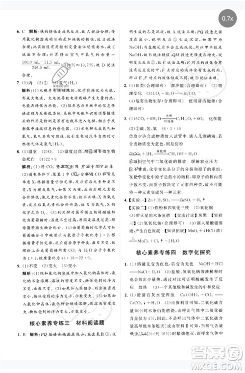 山东教育出版社2023初中总复习手册分层专题卷九年级化学五四制通用版烟台专版参考答案