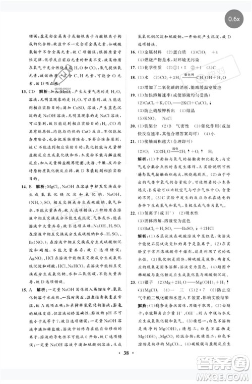 山东教育出版社2023初中总复习手册分层专题卷九年级化学五四制通用版烟台专版参考答案
