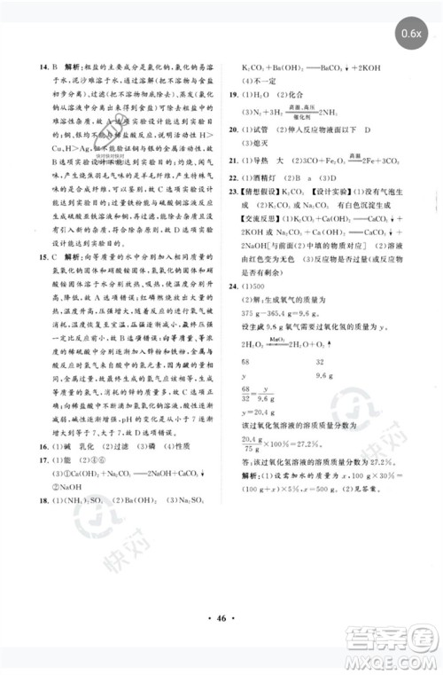 山东教育出版社2023初中总复习手册分层专题卷九年级化学五四制通用版烟台专版参考答案