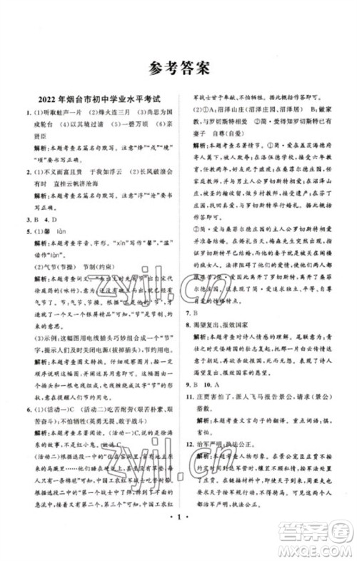 山东教育出版社2023初中总复习手册分层专题卷九年级语文五四制通用版烟台专版参考答案
