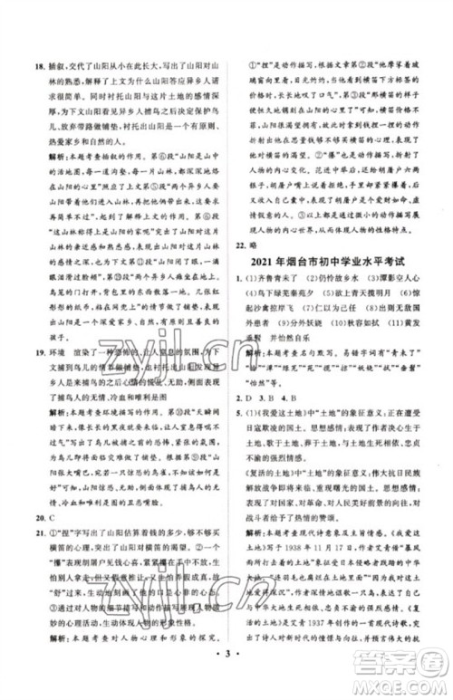 山东教育出版社2023初中总复习手册分层专题卷九年级语文五四制通用版烟台专版参考答案