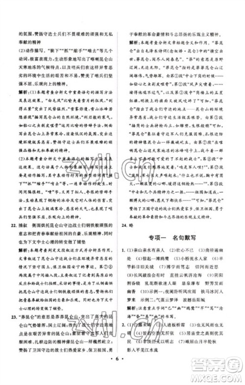 山东教育出版社2023初中总复习手册分层专题卷九年级语文五四制通用版烟台专版参考答案