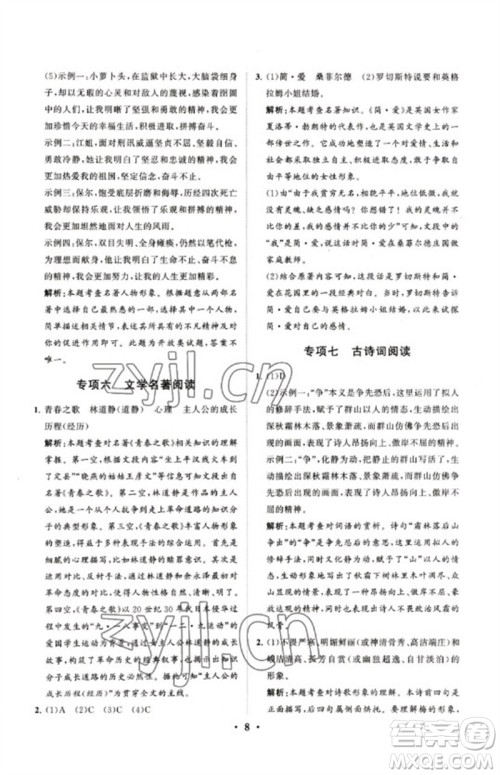 山东教育出版社2023初中总复习手册分层专题卷九年级语文五四制通用版烟台专版参考答案