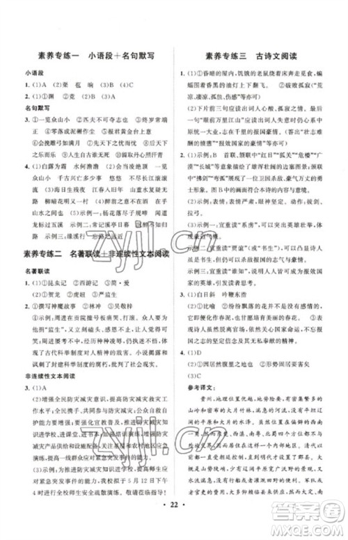 山东教育出版社2023初中总复习手册分层专题卷九年级语文五四制通用版烟台专版参考答案