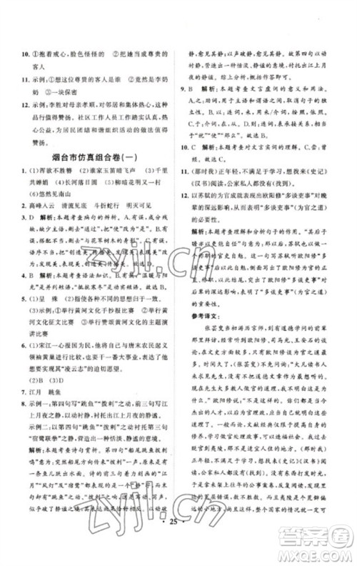 山东教育出版社2023初中总复习手册分层专题卷九年级语文五四制通用版烟台专版参考答案