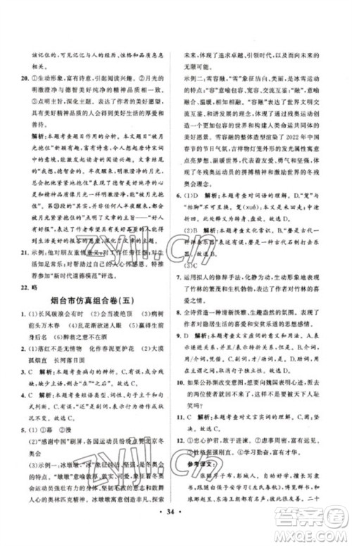 山东教育出版社2023初中总复习手册分层专题卷九年级语文五四制通用版烟台专版参考答案