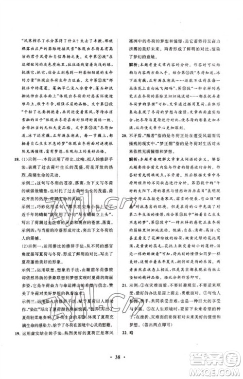 山东教育出版社2023初中总复习手册分层专题卷九年级语文五四制通用版烟台专版参考答案