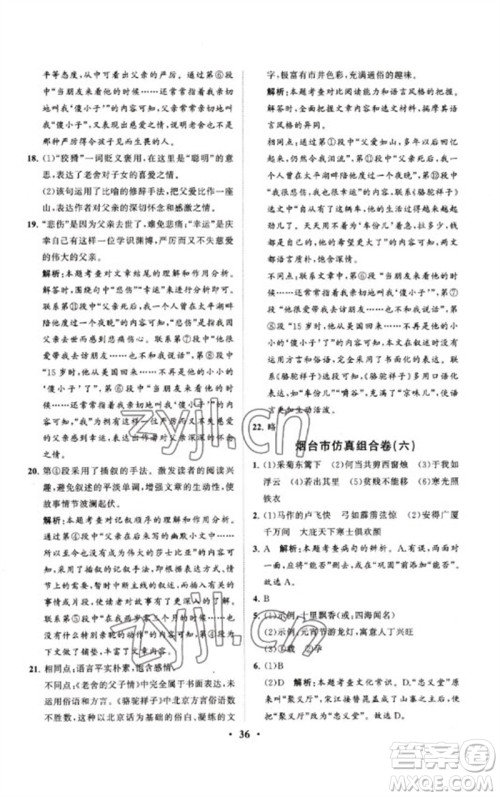 山东教育出版社2023初中总复习手册分层专题卷九年级语文五四制通用版烟台专版参考答案