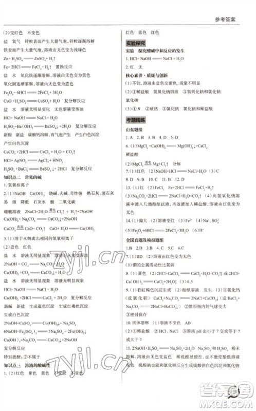 青岛出版社2023初中总复习手册九年级化学通用版参考答案