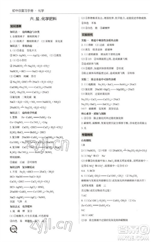 青岛出版社2023初中总复习手册九年级化学通用版参考答案 青岛出版社2023初中总复习手册九年级化学通用版参考答案