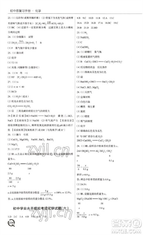 青岛出版社2023初中总复习手册九年级化学通用版参考答案