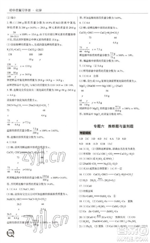 青岛出版社2023初中总复习手册九年级化学通用版参考答案