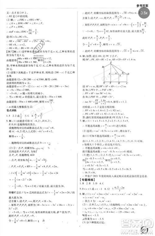 青岛出版社2023初中总复习手册九年级数学通用版参考答案