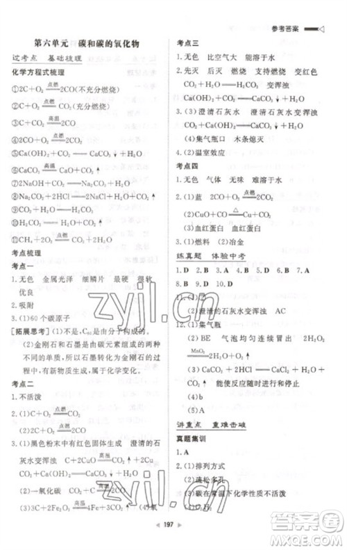 新世纪出版社2023初中总复习手册九年级化学通用版参考答案