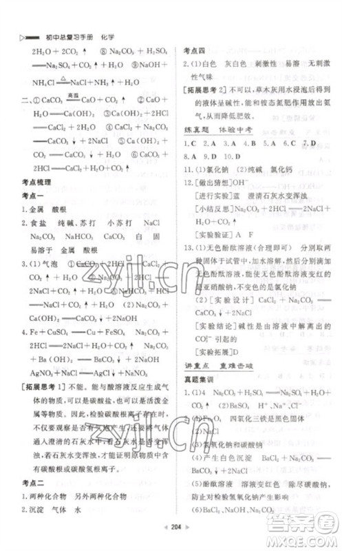 新世纪出版社2023初中总复习手册九年级化学通用版参考答案