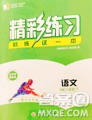 浙江工商大学出版社2023精彩练习就练这一本八年级下册语文人教版参考答案