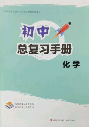 青岛出版社2023初中总复习手册九年级化学通用版参考答案