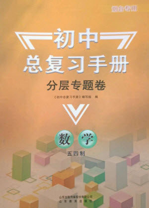 山东教育出版社2023初中总复习手册分层专题卷九年级数学五四制通用版烟台专版参考答案