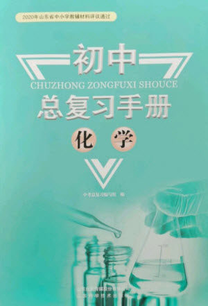 山东科学技术出版社2023初中总复习手册九年级化学通用版参考答案