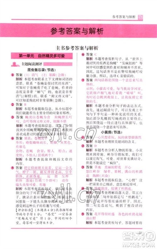 湖南师范大学出版社2023木头马阅读力测评三年级语文下册人教版武汉专版B版参考答案