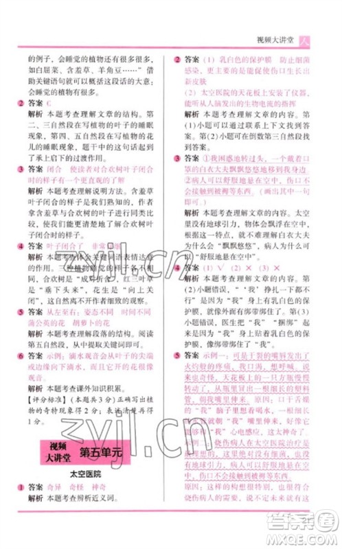 湖南师范大学出版社2023木头马阅读力测评三年级语文人教版B版参考答案 湖南师范大学出版社2023木头马阅读力测评三年级语文人教版B版参考答案