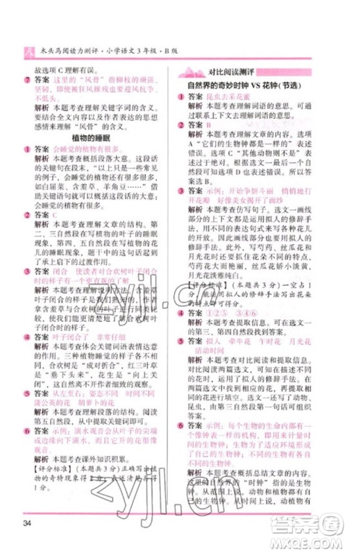 湖南师范大学出版社2023木头马阅读力测评三年级语文人教版B版参考答案 湖南师范大学出版社2023木头马阅读力测评三年级语文人教版B版参考答案