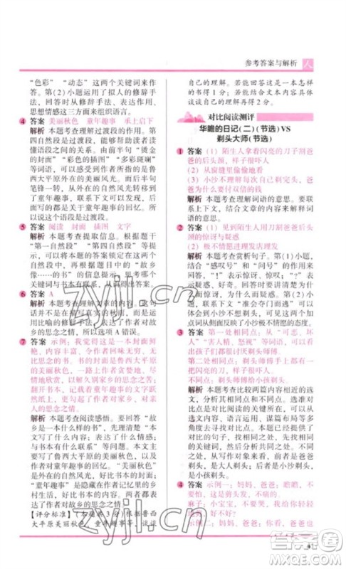 湖南师范大学出版社2023木头马阅读力测评三年级语文人教版B版参考答案 湖南师范大学出版社2023木头马阅读力测评三年级语文人教版B版参考答案