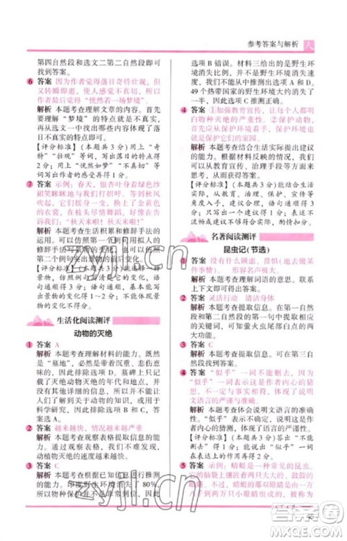 湖南师范大学出版社2023木头马阅读力测评三年级语文人教版B版参考答案 湖南师范大学出版社2023木头马阅读力测评三年级语文人教版B版参考答案