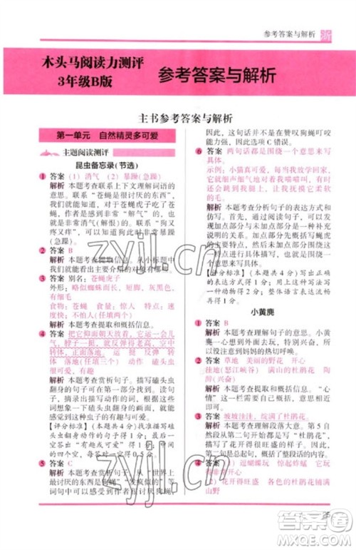 江苏凤凰文艺出版社2023木头马阅读力测评三年级语文下册人教版浙江专版B版参考答案