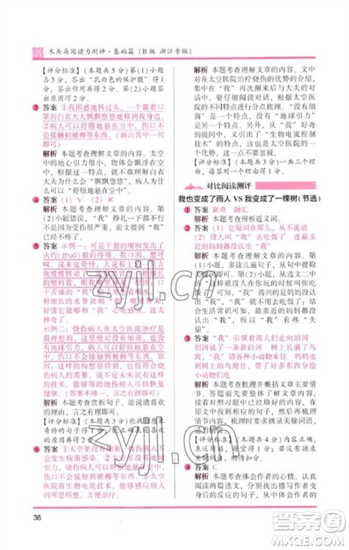 江苏凤凰文艺出版社2023木头马阅读力测评三年级语文下册人教版浙江专版B版参考答案