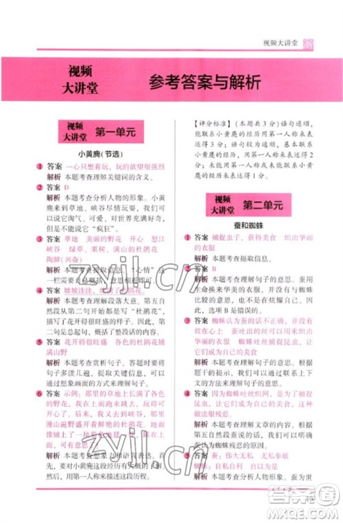 江苏凤凰文艺出版社2023木头马阅读力测评三年级语文下册人教版浙江专版B版参考答案