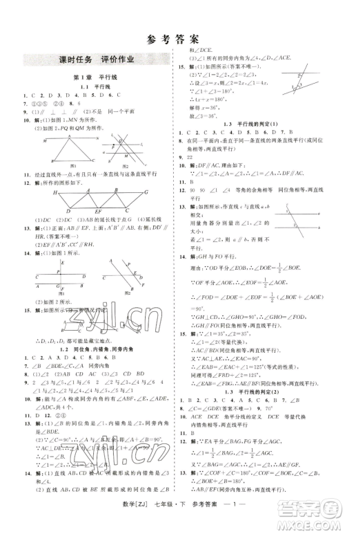 浙江工商大学出版社2023精彩练习就练这一本七年级下册数学浙教版参考答案