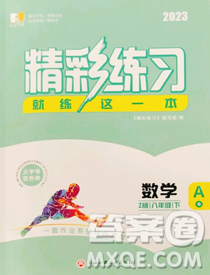 浙江工商大学出版社2023精彩练习就练这一本八年级下册数学浙教版参考答案