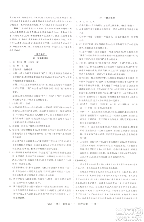 浙江工商大学出版社2023精彩练习就练这一本七年级下册语文人教版参考答案 浙江工商大学出版社2023精彩练习就练这一本七年级下册语文人教版参考答案