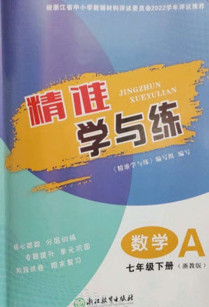 浙江教育出版社2023精准学与练七年级数学下册浙教版参考答案