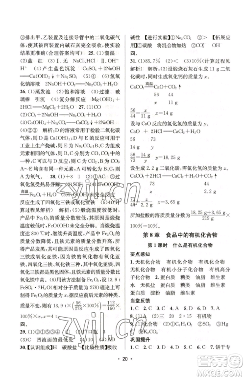 江苏凤凰美术出版社2023创新课时作业本九年级下册化学上教版参考答案