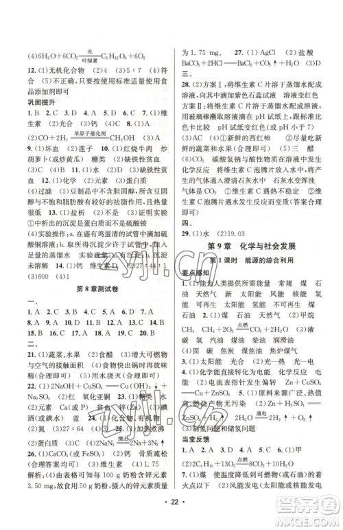 江苏凤凰美术出版社2023创新课时作业本九年级下册化学上教版参考答案