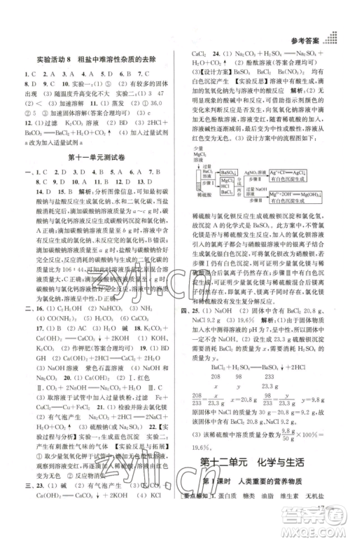 江苏凤凰美术出版社2023创新课时作业本九年级下册化学全国版参考答案