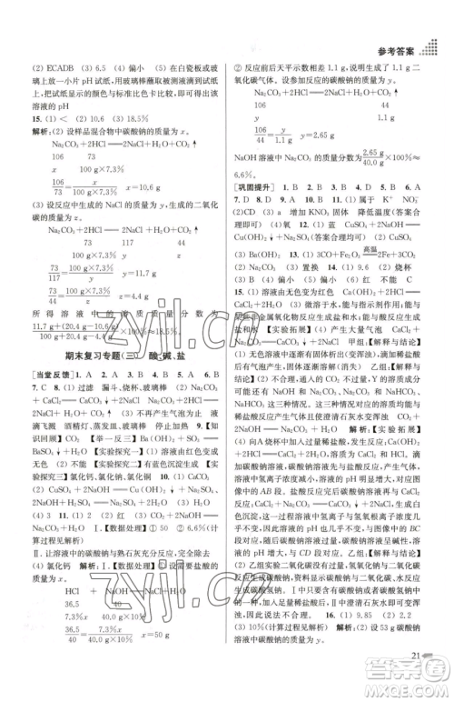 江苏凤凰美术出版社2023创新课时作业本九年级下册化学全国版参考答案