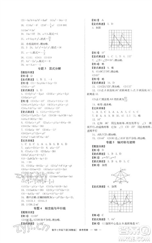 湖南教育出版社2023全效学习同步学练测七年级数学下册湘教版参考答案