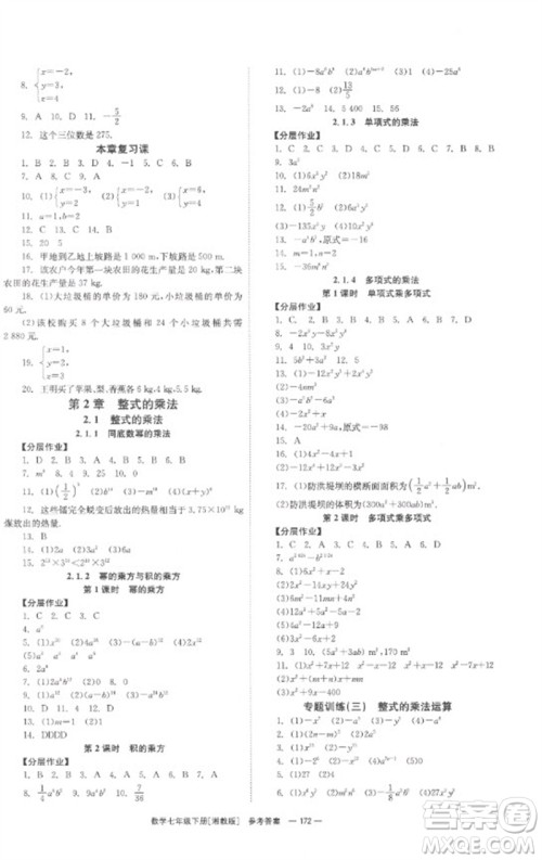 湖南教育出版社2023全效学习同步学练测七年级数学下册湘教版参考答案