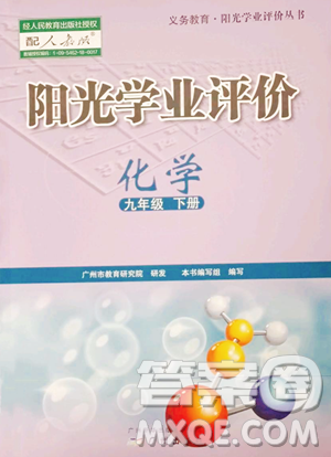广州出版社2023阳光学业评价九年级下册化学人教版参考答案