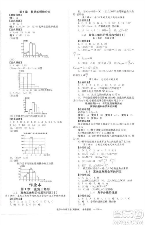 湖南教育出版社2023全效学习同步学练测八年级数学下册湘教版参考答案