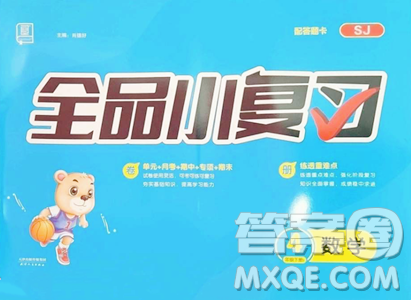 天津人民出版社2023全品小复习四年级下册数学苏教版参考答案