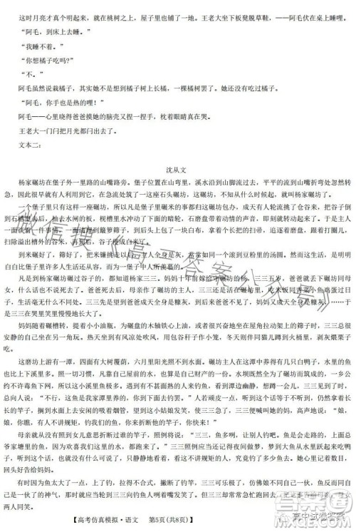 2023九师联盟5月16日高考仿真模拟LG语文试卷答案